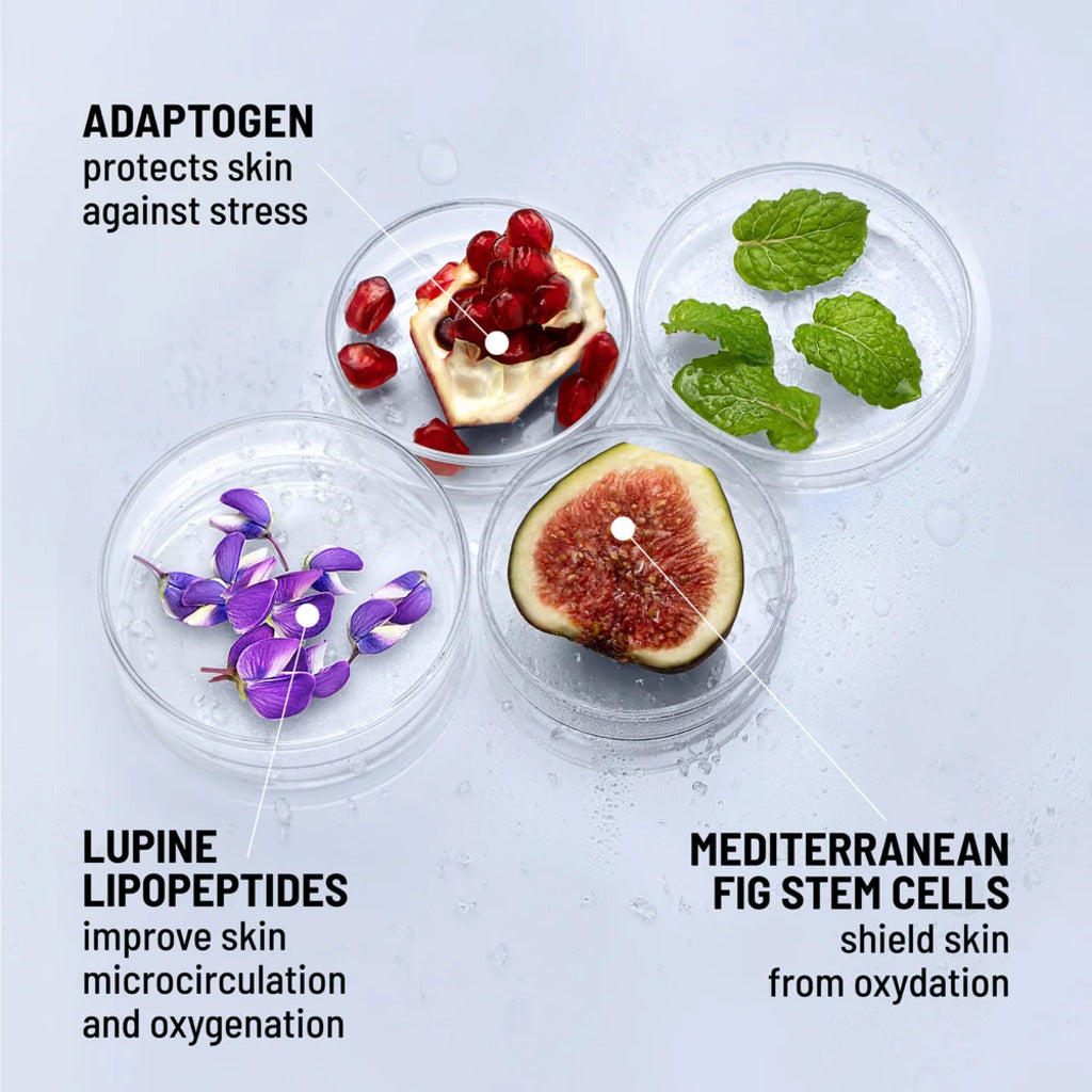 Brand ingredient graphic for Icy Gel Moisturizer showing fig, pomegranate and lupine