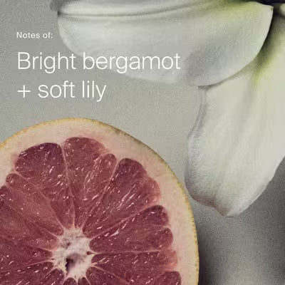 Citrus slice and white flower illustrating Living Proof PhD Heat Styling Spray scent notes of bright bergamot and soft lily