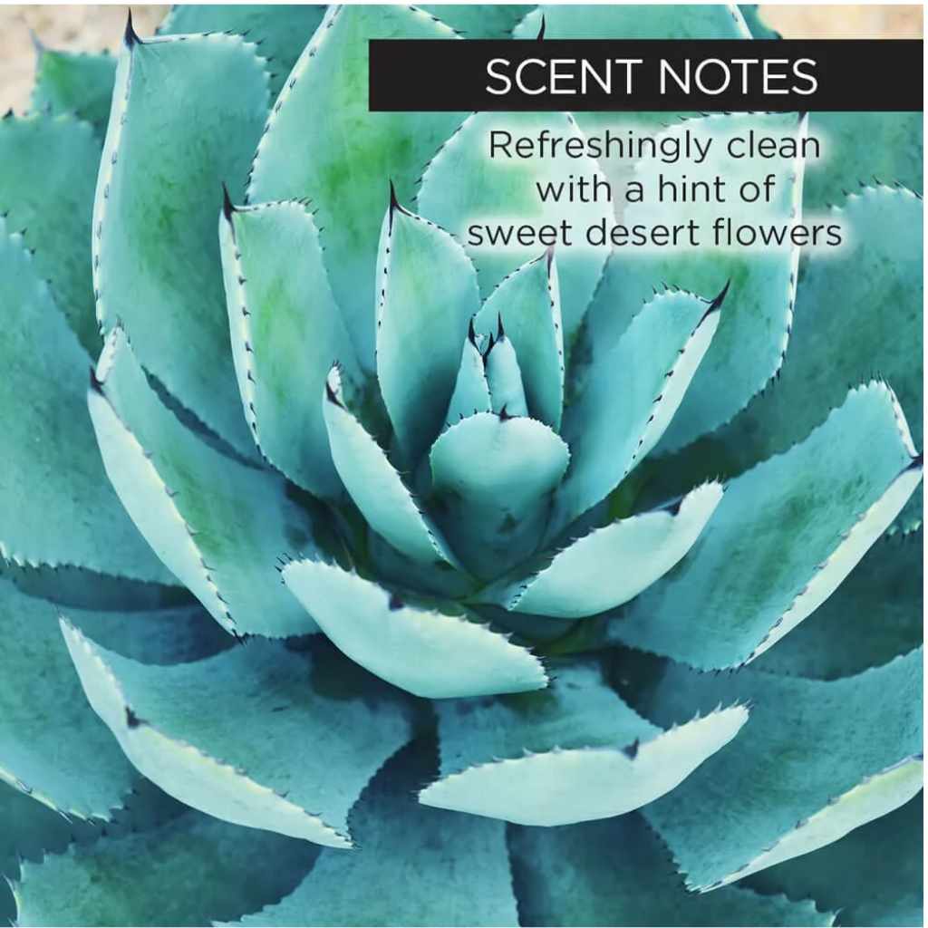 Whish Sun Kissed Agave Self Tanner Lotion package details