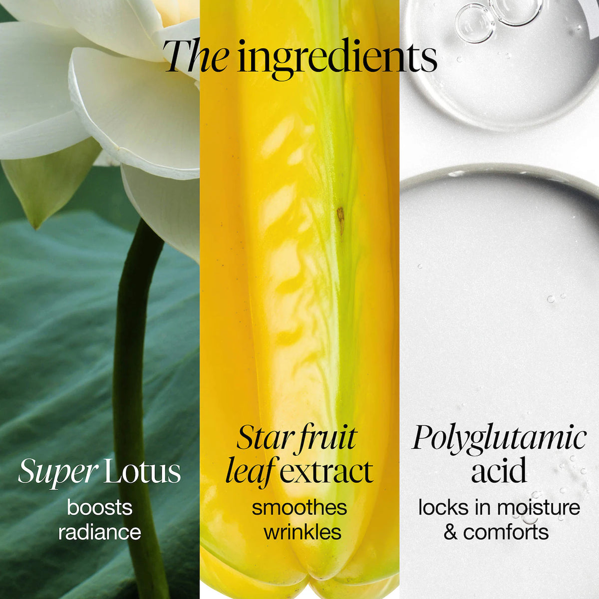 Fresh Lotus Youth Preserve Moisturizer, additional product image for 15 mL jar.