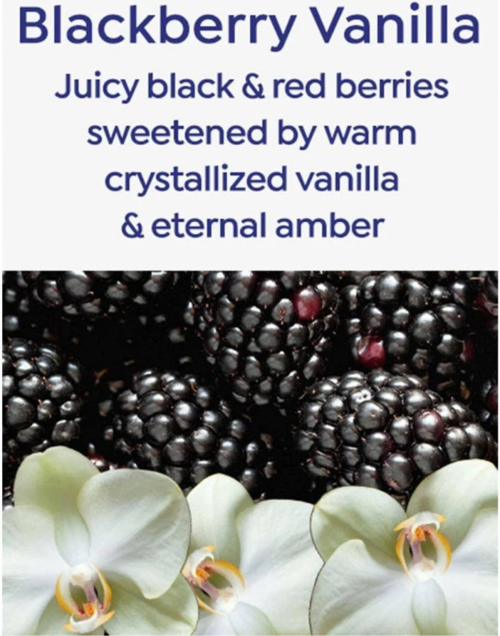 Korres Blackberry Vanilla Body Firming Serum Spray 8.45 fl oz / 250 mL